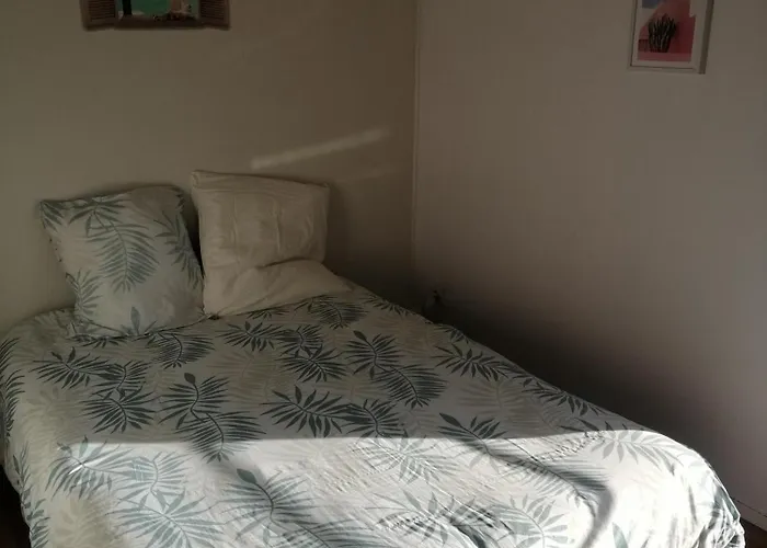 Les Fontaines T4 Spacieux 3 Parking Gratuit トゥールーズ